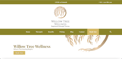 Willow Tree Wellness Landing Website